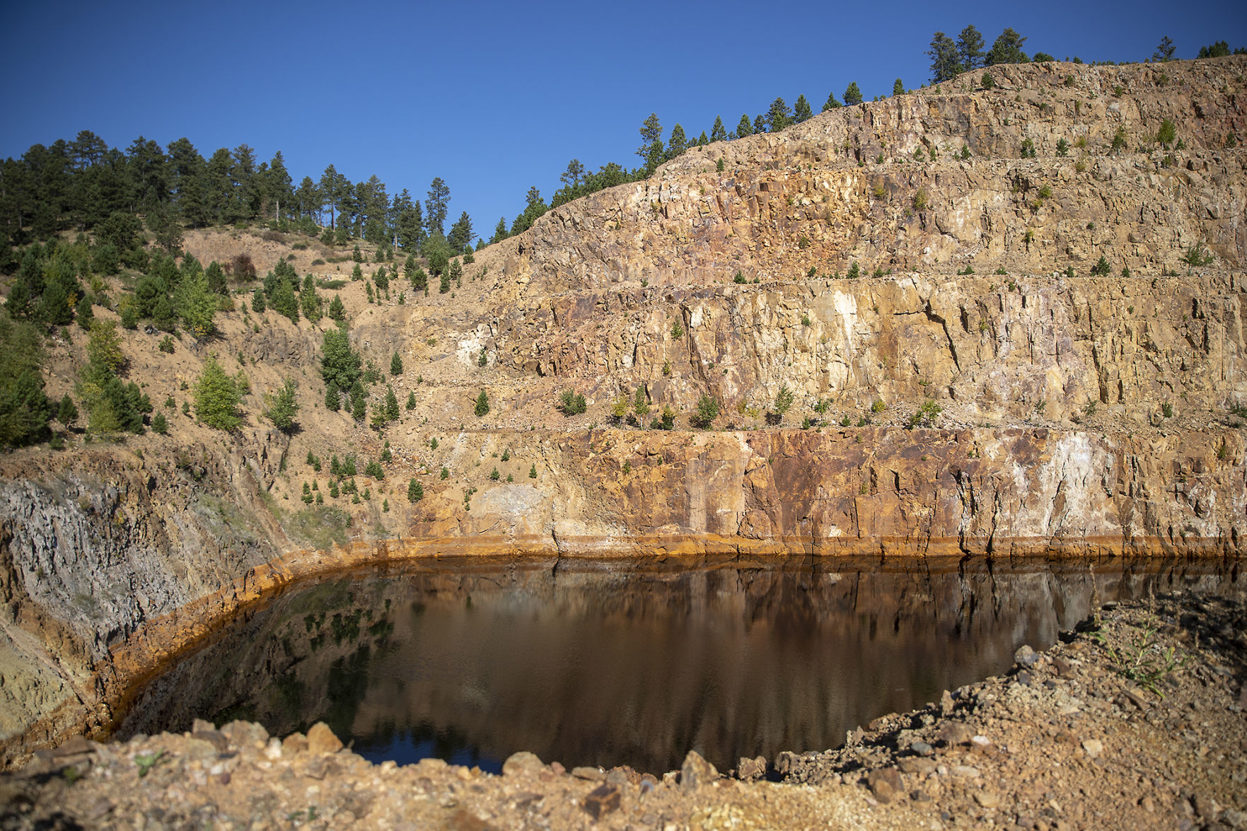 Gilt Edge Mine
